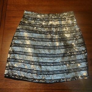 Derek Lam Sequin Striped Skirt